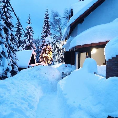 科帕奥尼克 Uki & Sofi Mountain House酒店 外观 照片