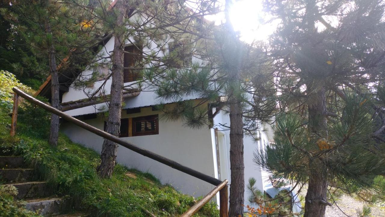 科帕奥尼克 Uki & Sofi Mountain House酒店 外观 照片