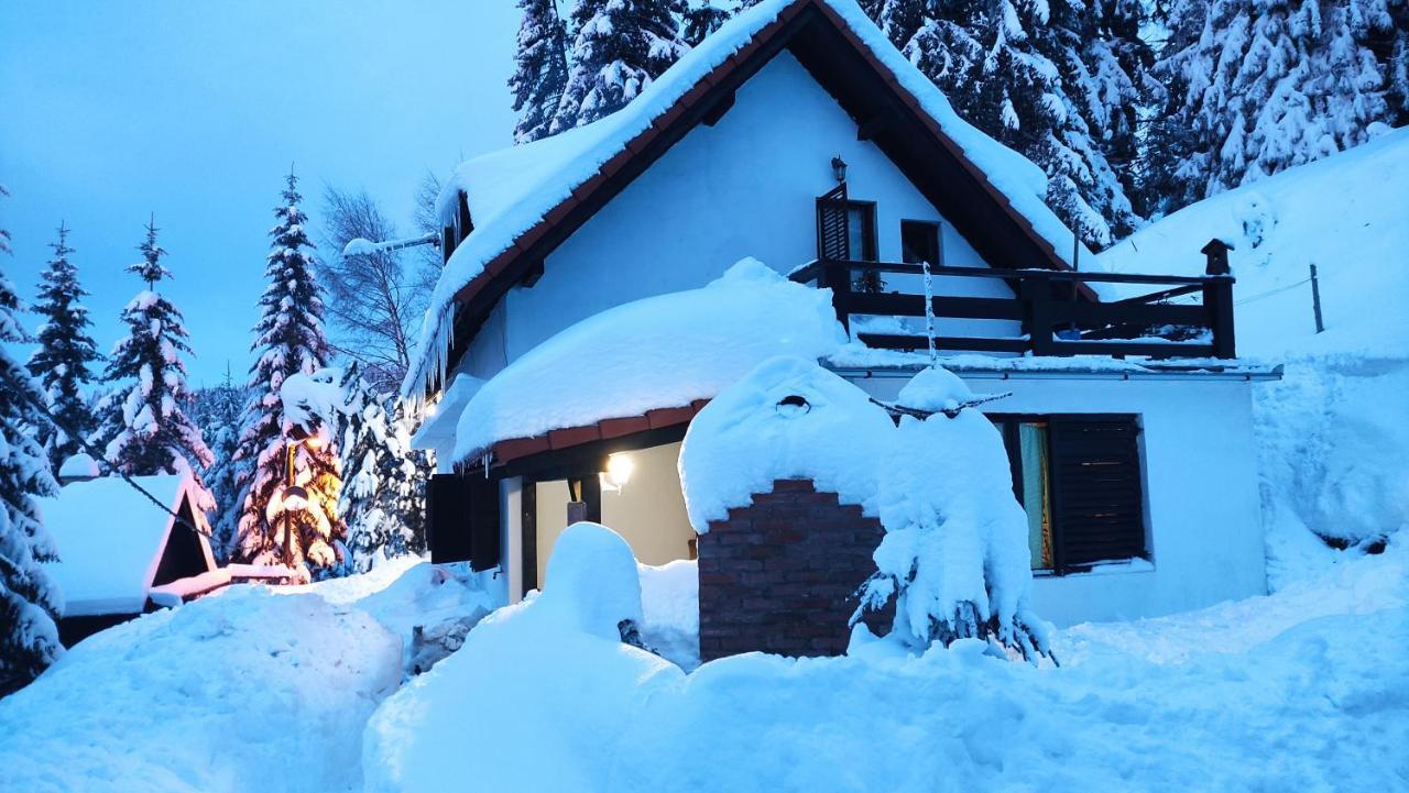 科帕奥尼克 Uki & Sofi Mountain House酒店 外观 照片