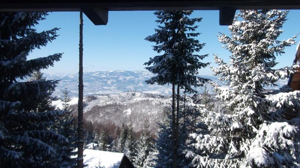 科帕奥尼克 Uki & Sofi Mountain House酒店 外观 照片